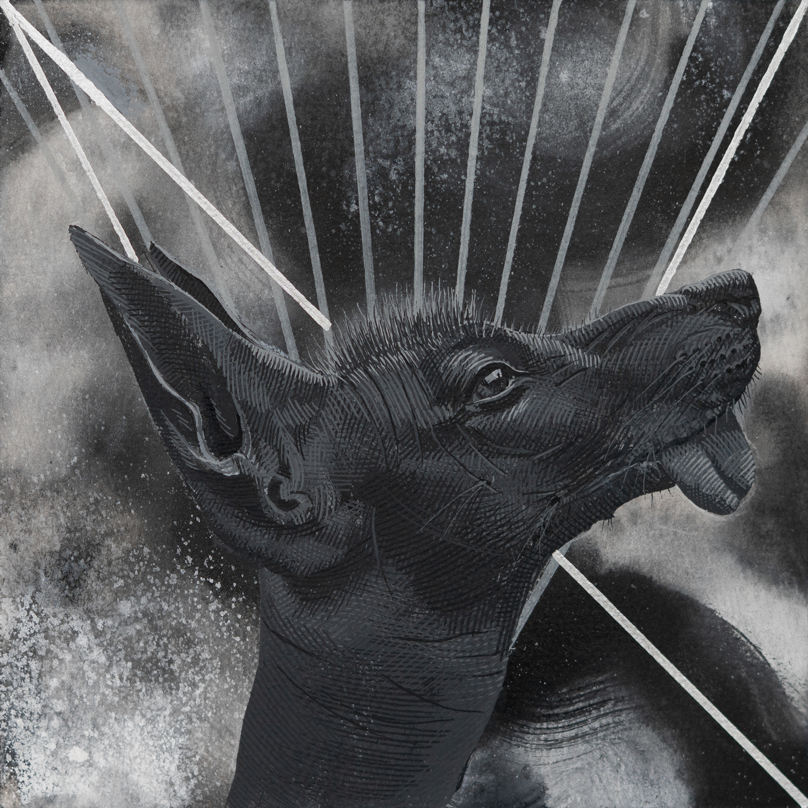 Obsesiones/Obsessions